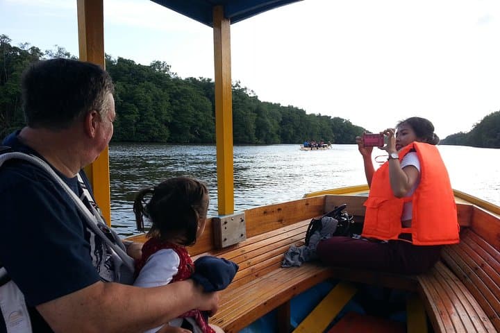 Proboscis Monkey Private Boat Tour: Brunei River Mangrove Safari photo 6