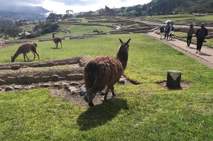 Explore Ingapirca: Full-Day Tour to Ecuador's Largest Inca Ruins from Cuenca