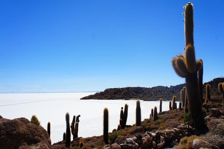 One-Day Uyuni Salt Flats Tour: Incahuasi, Train Cemetery & Sunset photo 5