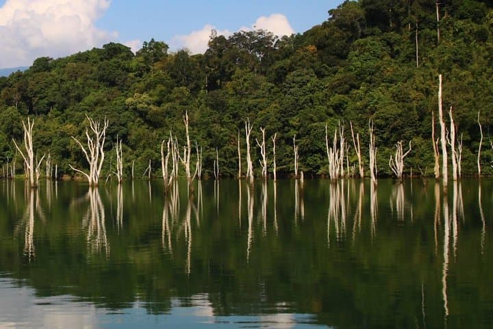 Khao Sok Wildlife: 2-Day Cheow Lan Lake Overnight in Bamboo Huts photo 5
