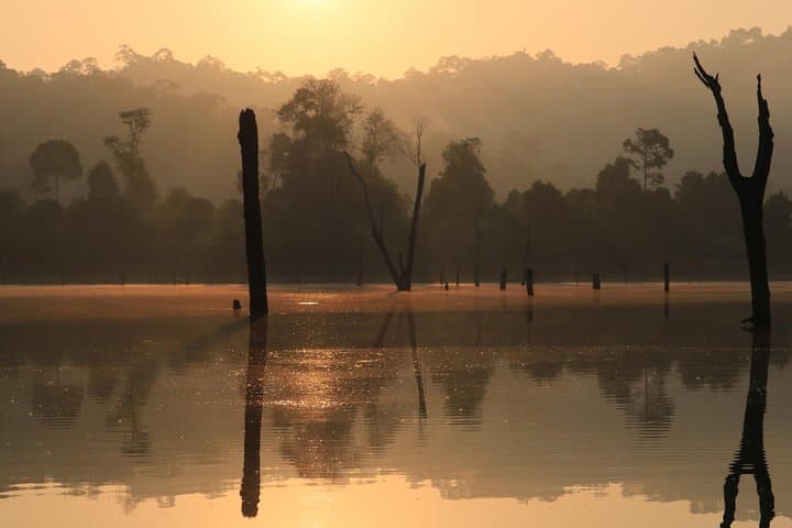 Khao Sok Wildlife: 2-Day Cheow Lan Lake Overnight in Bamboo Huts photo 3
