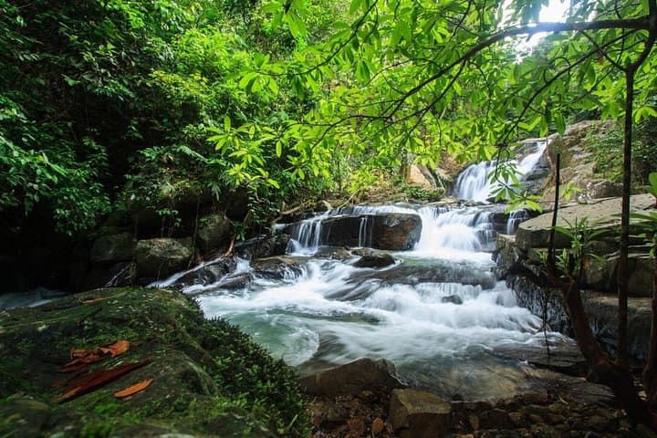 Off-Road Safari Khao Lak: Mangrove Canoe, Waterfall Swim & Jungle Jeep Ride photo 4