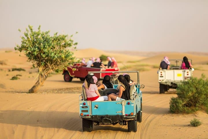 Dubai Heritage Safari: Private Vintage Land Rover, Falconry & Bedouin Dinner photo 1