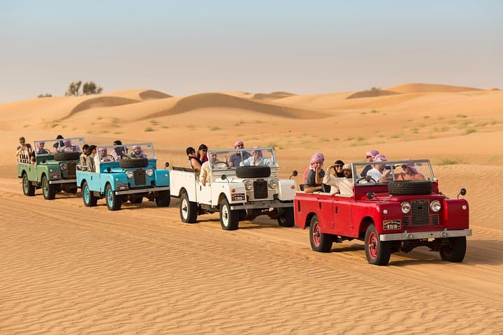 Dubai Heritage Safari: Private Vintage Land Rover, Falconry & Bedouin Dinner photo 3