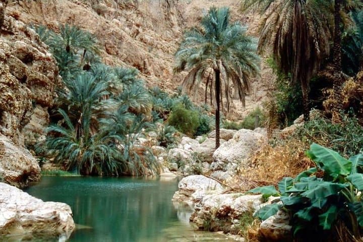 Swim, Hike, and Cliff-Jump: Wadi Shab and Bimmah Sinkhole Day Trip from Muscat