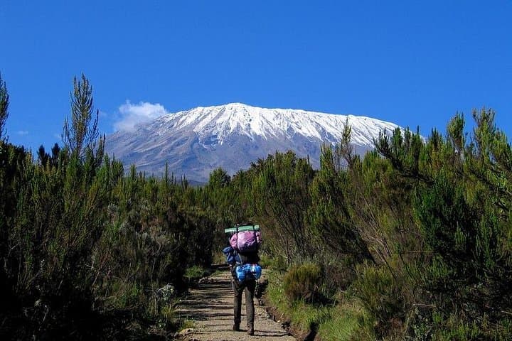 Machame Route on Mount Kilimanjaro: 6-Day Summit Trek to Uhuru Peak photo 4