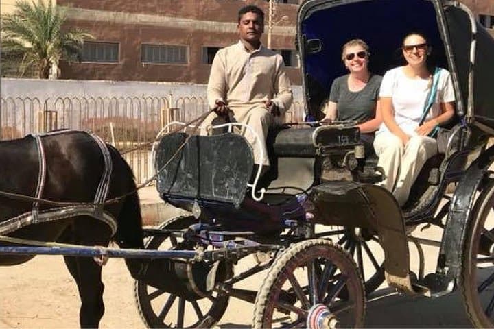 Sunset Horse-and-Carriage Tour of Aswan Along the Nile photo 5