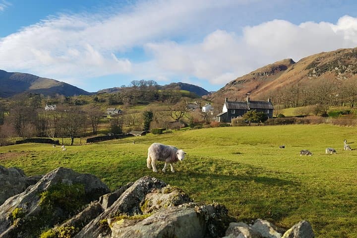 Lake District Day Trip from Manchester with Windermere Cruise and Hawkshead photo 4
