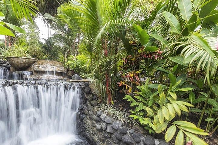 9-Day Costa Rica: Volcanoes, Cloud Forests & Pacific Beaches photo 6