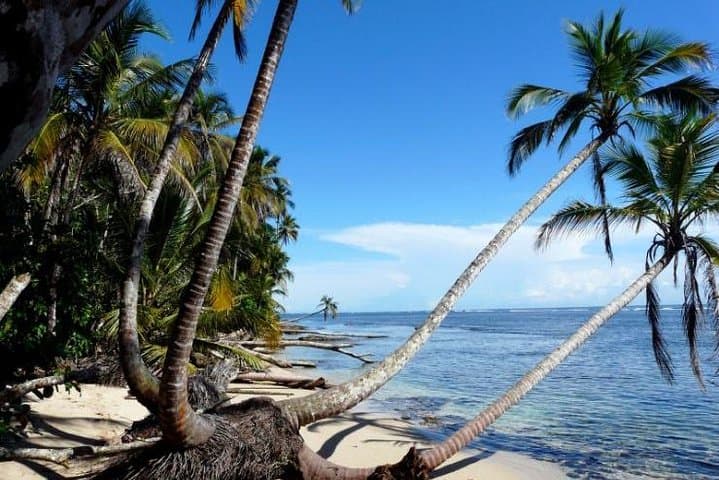 12-Day Naturally Costa Rica: Volcanoes, Rainforests & Caribbean Beaches photo 3