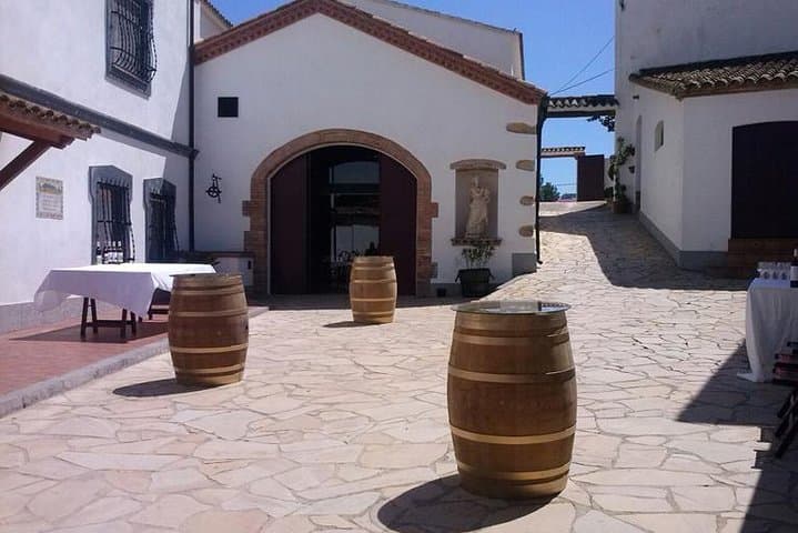 Bike Through Penedes Vineyards and Finish with a Winery Barbecue