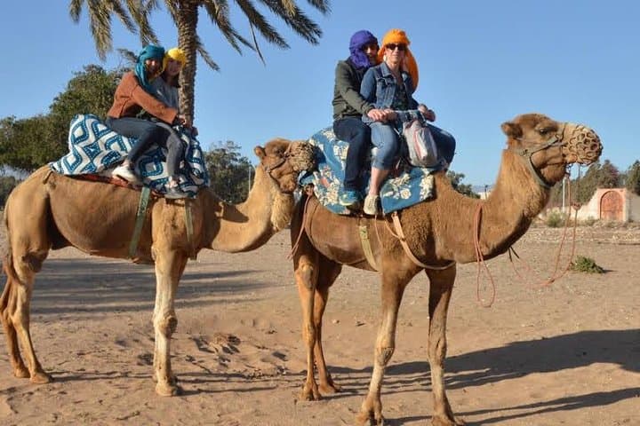 Sunset Camel Trek & Barbecue in Souss Massa from Agadir photo 6