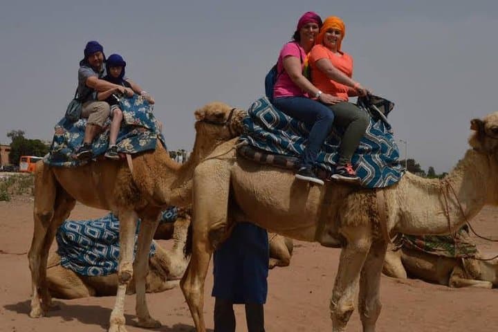 Half-Day Agadir Camel Safari: Camel Caravan to Souss-Massa and Birdwatching photo 4