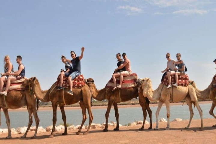 Sunset Camel Trek & Barbecue in Souss Massa from Agadir photo 2