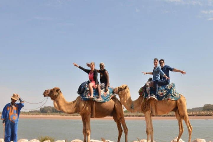 Sunset Camel Trek & Barbecue in Souss Massa from Agadir photo 4