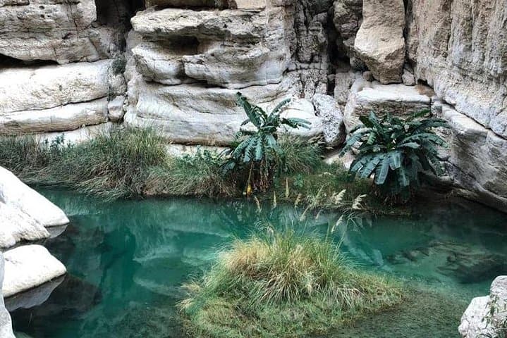 Muscat City & Wadi Shab: Mosque to Canyon on a Full-Day Oman Adventure photo 5