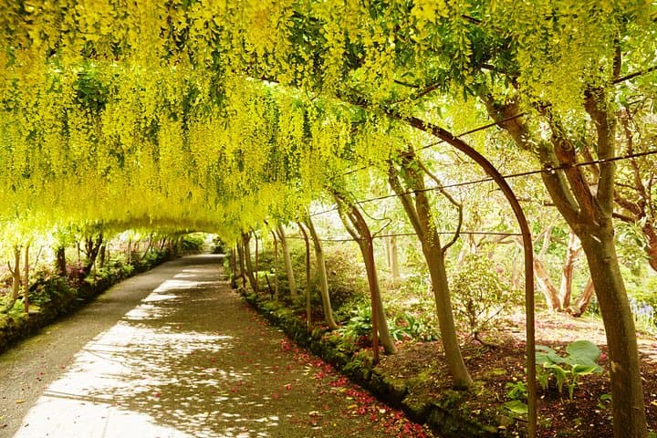 Snowdonia Day Tour: Bodnant Gardens, Conwy Castle & Slate Heritage from Llandudno photo 2