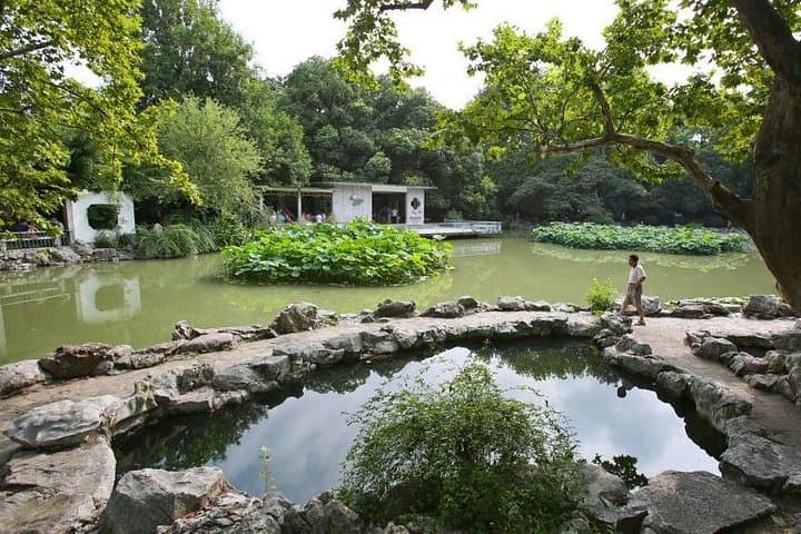 Shanghai Natural Sites and Beauty: Private Full-Day Parks Tour photo 3