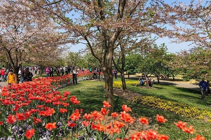 Shanghai Natural Sites and Beauty: Private Full-Day Parks Tour photo 4