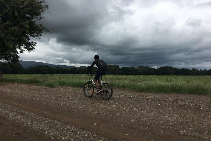Cycling the TPC Sugar Cane Plantations from Moshi photo 3