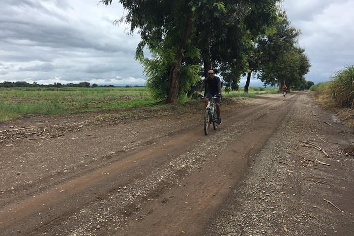 Cycling the TPC Sugar Cane Plantations from Moshi photo 4
