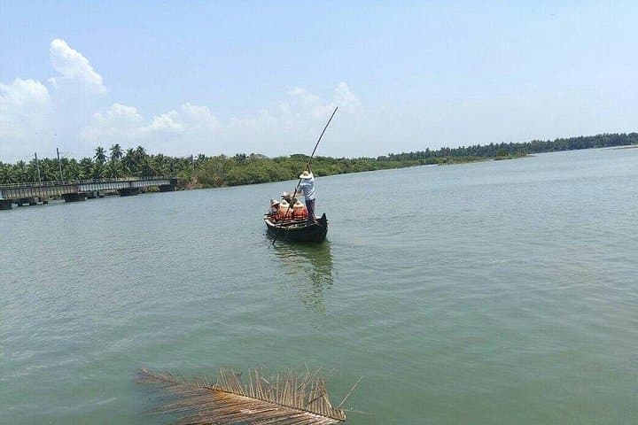 Kadalundi Mangrove Trail: Guided Boat Tour & Birdwatching in Calicut photo 3