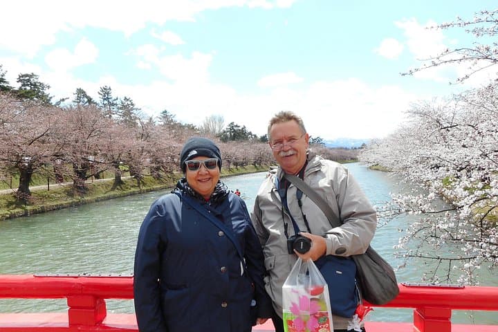 Hirosaki Private Cherry Blossom Tour — Hirosaki Park, Castle & Local Sights photo 4