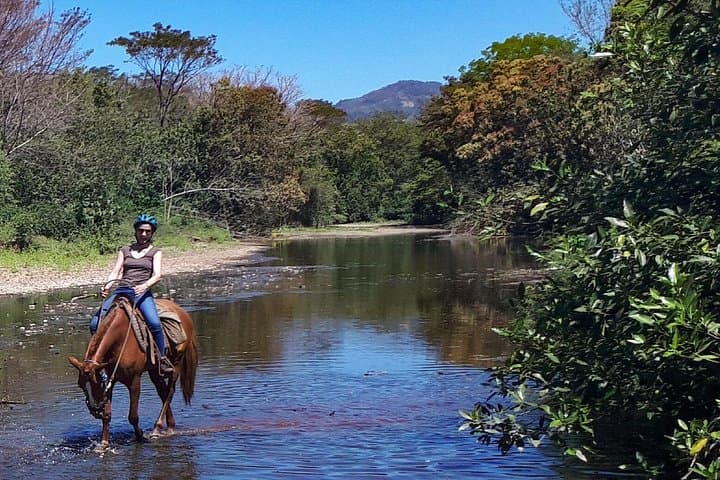 Safari Horse Riding Tour in Samara — Jungle, River & Wildlife on Horseback photo 2