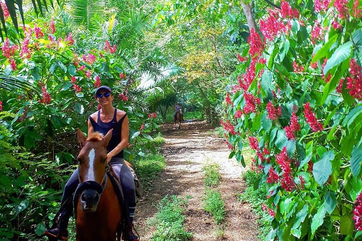 Safari Horse Riding Tour in Samara — Jungle, River & Wildlife on Horseback photo 3