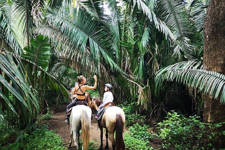 Safari Horse Riding Tour in Samara — Jungle, River & Wildlife on Horseback photo 4
