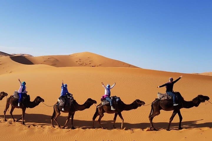 3-Day Sahara & Atlas Mountains Trip from Fes to Marrakech — Camel Trek and Berber Camp photo 4