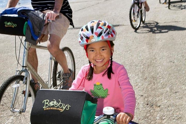 Chicago Full-Day Bike Rental: Ride the Lakefront & City Sights photo 3