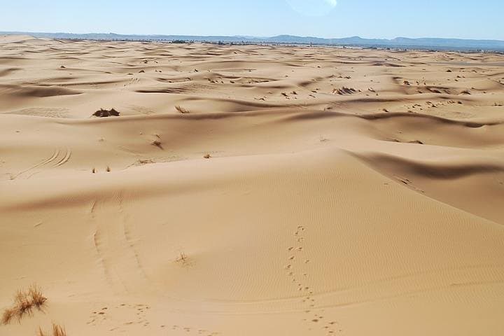 Erg Chebbi Sahara: 3-Day Camel Trek & Desert Camp from Marrakech photo 6