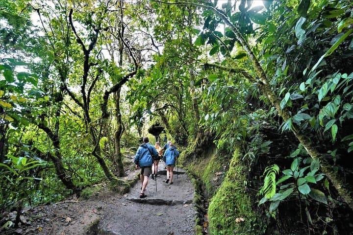 Mindo Cloud Forest Day Trip: Waterfalls, Hummingbirds & Chocolate