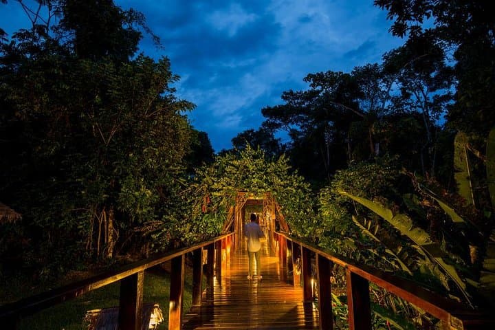 3-Day Tambopata Jungle Tour at Posada Amazonas — Puerto Maldonado Amazon Wildlife Lodge photo 2