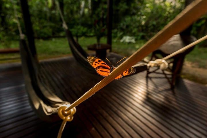 3-Day Tambopata Jungle Tour at Posada Amazonas — Puerto Maldonado Amazon Wildlife Lodge photo 4