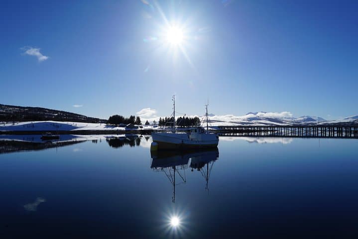Luxury Fjord Cruise on the Arctic Queen from Tromsø photo 3