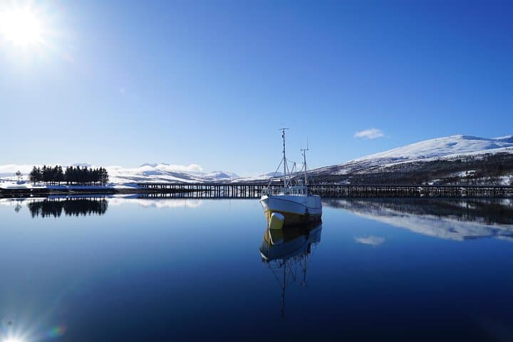 Luxury Fjord Cruise on the Arctic Queen from Tromsø photo 4