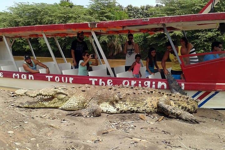 Jaco Highlights Tour: Mangrove Monkeys, Coastal Vistas & Beachfront Lunch photo 3