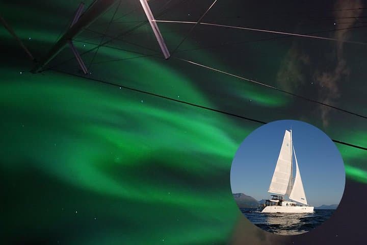 Tromsø Northern Lights Cruise on Luxury Catamaran Arctic Princess photo 3