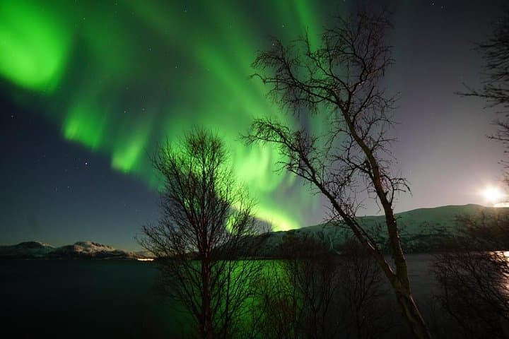 Eco-Friendly Northern Lights Chase in a Tesla X — Tromsø Aurora Tour photo 6