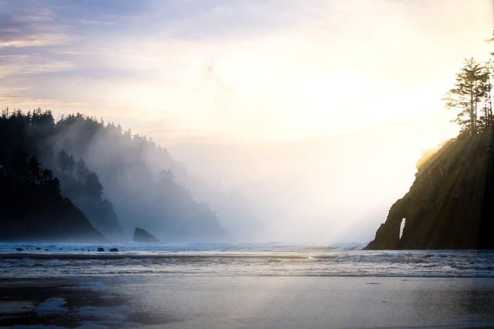 Private Oregon Coast Sightseeing Tour from Pacific City: Haystack Rock to Cape Meares photo 5