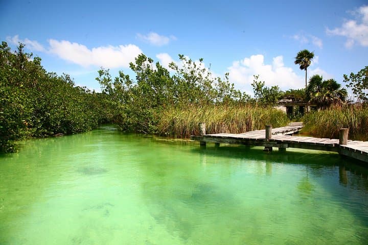 From Cliffs to Mangroves: Tulum Ruins and Sian Ka'an Muyil Lazy River Tour photo 3