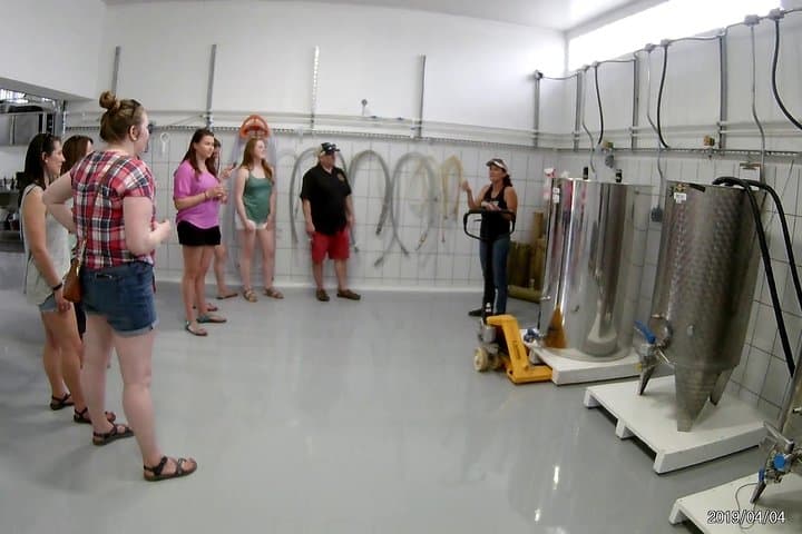 Central Valley Mead, Honey Wine & Craft Beer Tasting on the Slopes of Barva photo 2