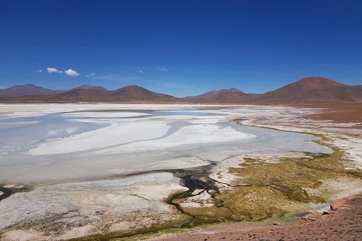 Highland Wonders: Red Rocks & Altiplanic Lagoons in the Atacama photo 3