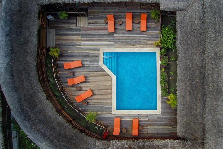 3-Day Amazon Jungle Adventure at Heliconia Lodge from Iquitos photo 3