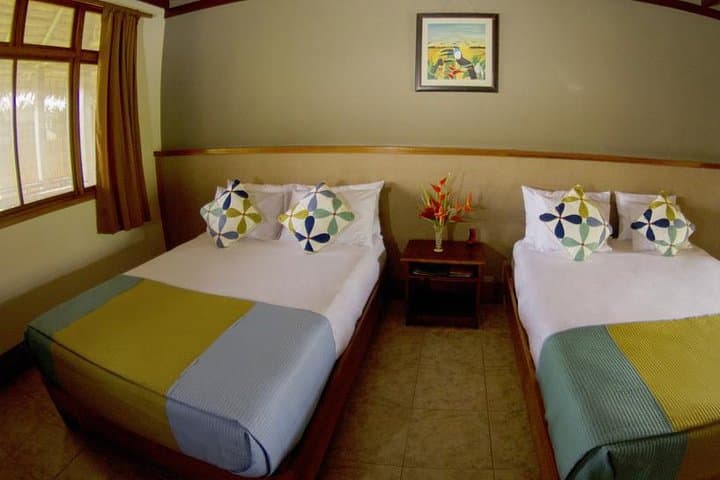 3-Day Amazon Jungle Adventure at Heliconia Lodge from Iquitos photo 4