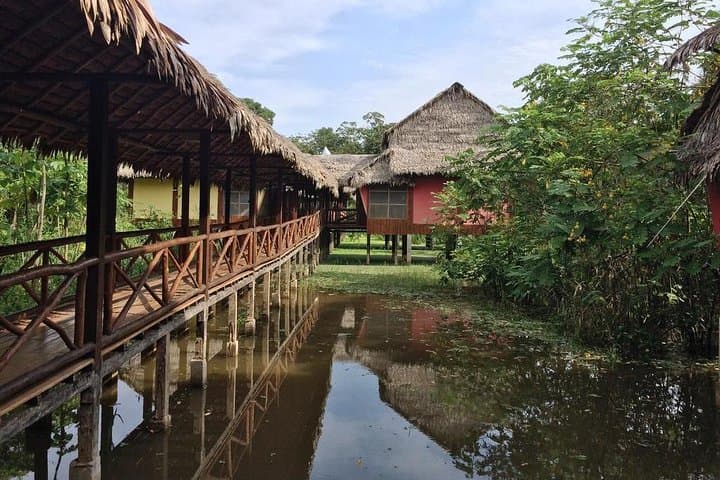 3-Day Amazon Jungle Adventure at Heliconia Lodge from Iquitos photo 6