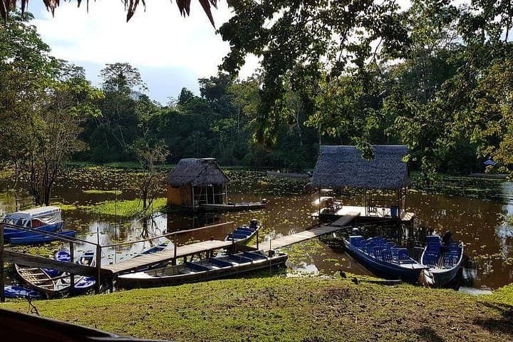 3-Day Amazon Jungle Adventure at Muyuna Lodge — Iquitos Wildlife & Canoe Expedition photo 3