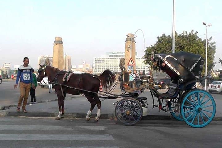 Cairo By Night: Private Evening Carriage & Downtown Walking Tour